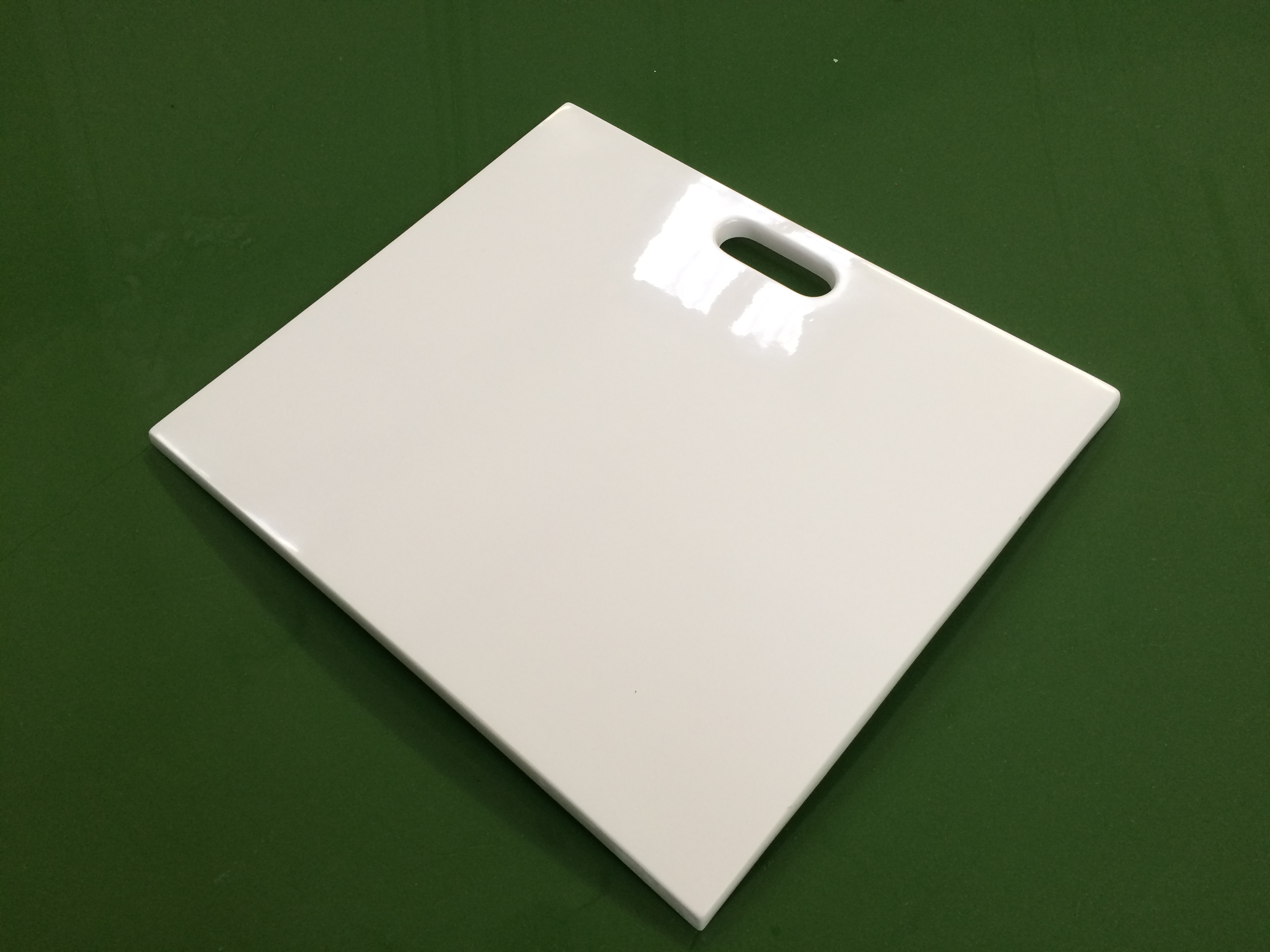 IMG_3052 Pro Dog Hydrobath Replacement Door